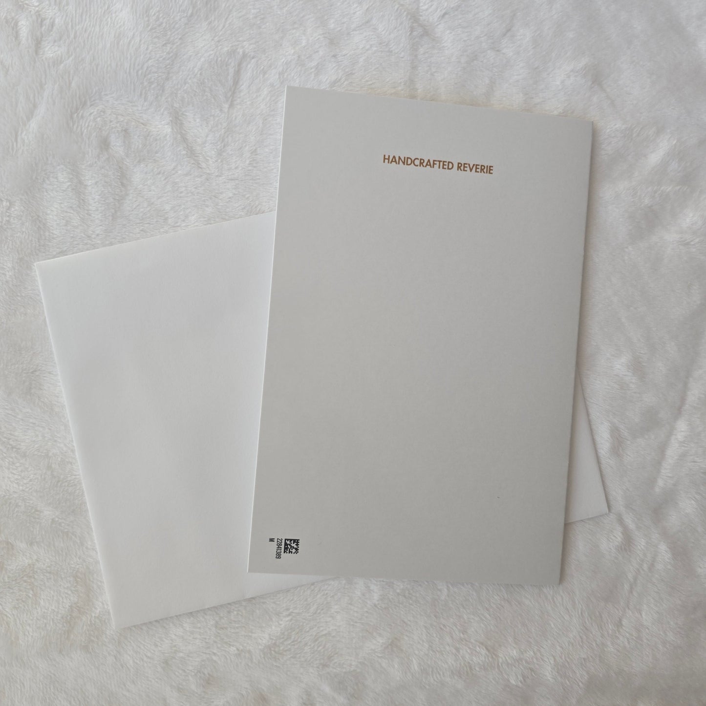 Divinely Guided White Rose