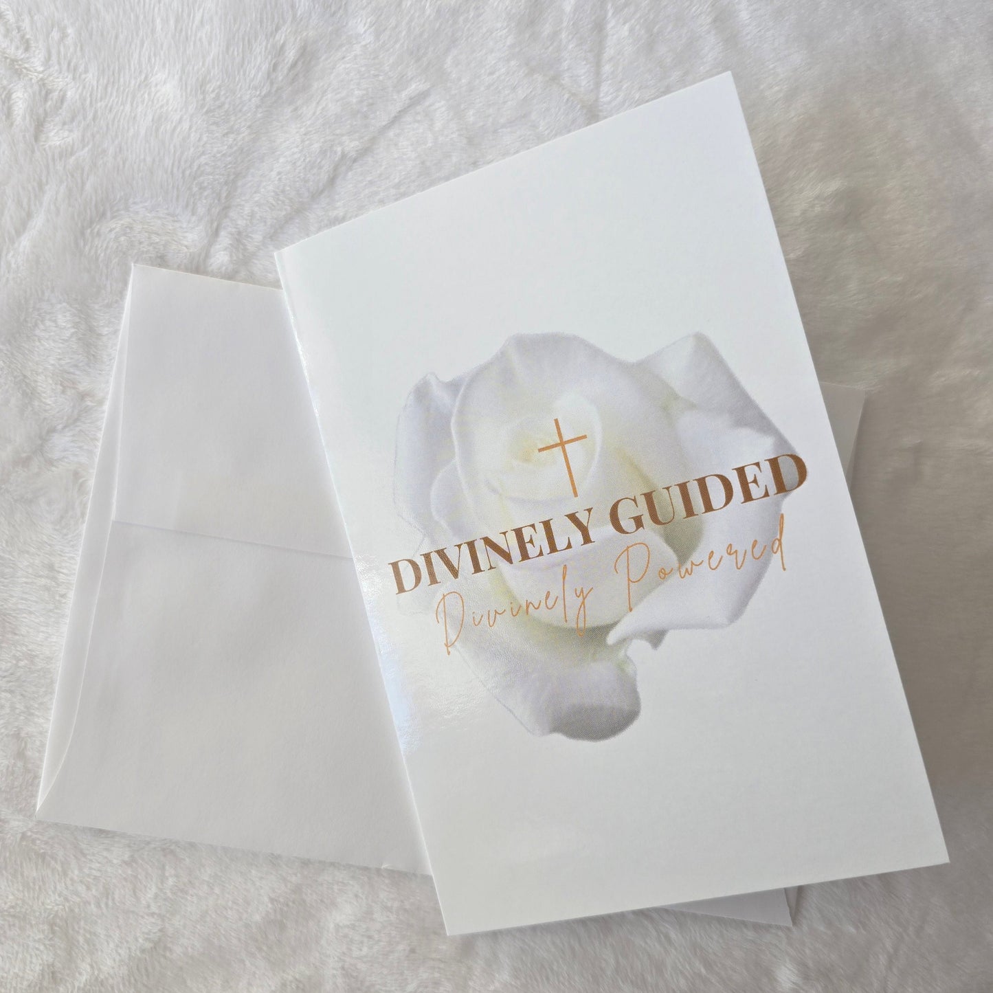 Divinely Guided White Rose
