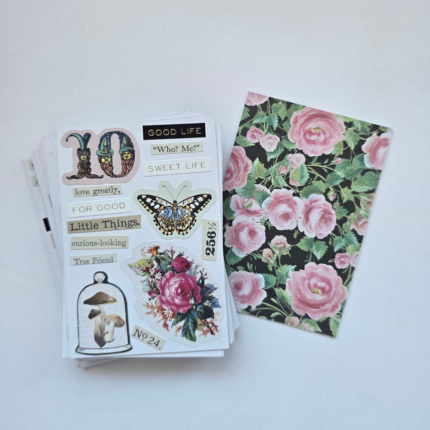 Sign Cards